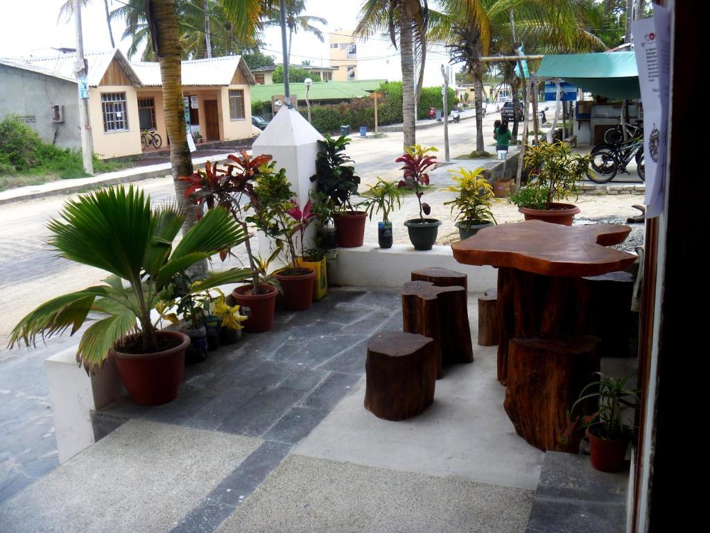 Casa Los Delfines Hotel Puerto Villamil Ngoại thất bức ảnh